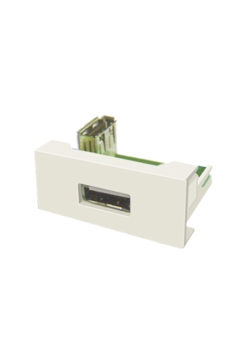 Panel echipat cu socket USB (1 modul) - DLX DLX-245-62
