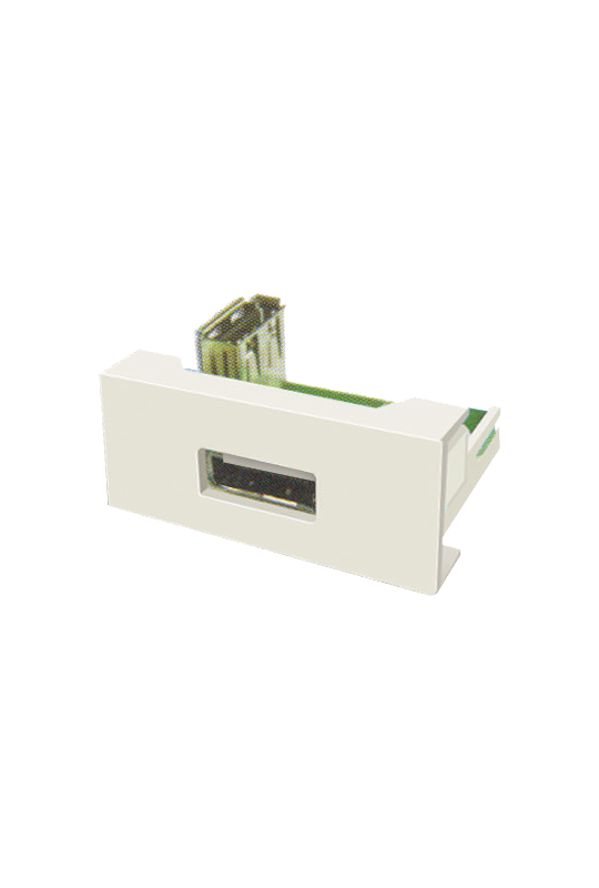 Panel echipat cu socket USB (1 modul) - DLX DLX-245-62